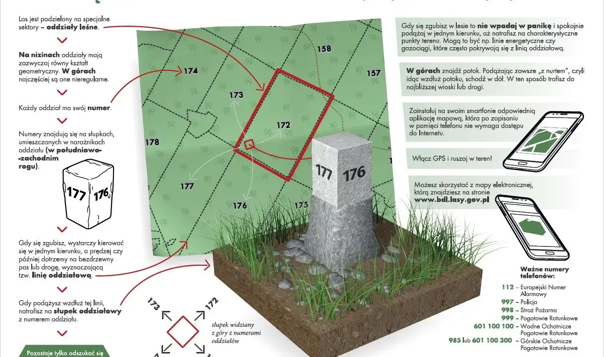 Mapa leśna z zaznaczonymi oddziałami i słupkami granicznymi. Wskazówki, jak odnaleźć się w lesie, korzystając z numeracji oddziałów i kierunków świata.