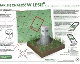 Mapa leśna z zaznaczonymi oddziałami i słupkami granicznymi. Wskazówki, jak odnaleźć się w lesie, korzystając z numeracji oddziałów i kierunków świata.