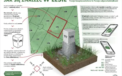 Mapa leśna z zaznaczonymi oddziałami i słupkami granicznymi. Wskazówki, jak odnaleźć się w lesie, korzystając z numeracji oddziałów i kierunków świata.
