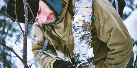 Mężczyzna w kurtce camo pochyla się nad drzewem w zimowym lesie.