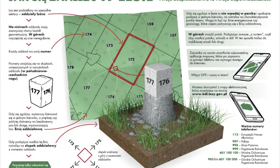 Mapa leśna z zaznaczonymi oddziałami i słupkami granicznymi. Wskazówki, jak odnaleźć się w lesie, korzystając z numeracji oddziałów i kierunków świata.
