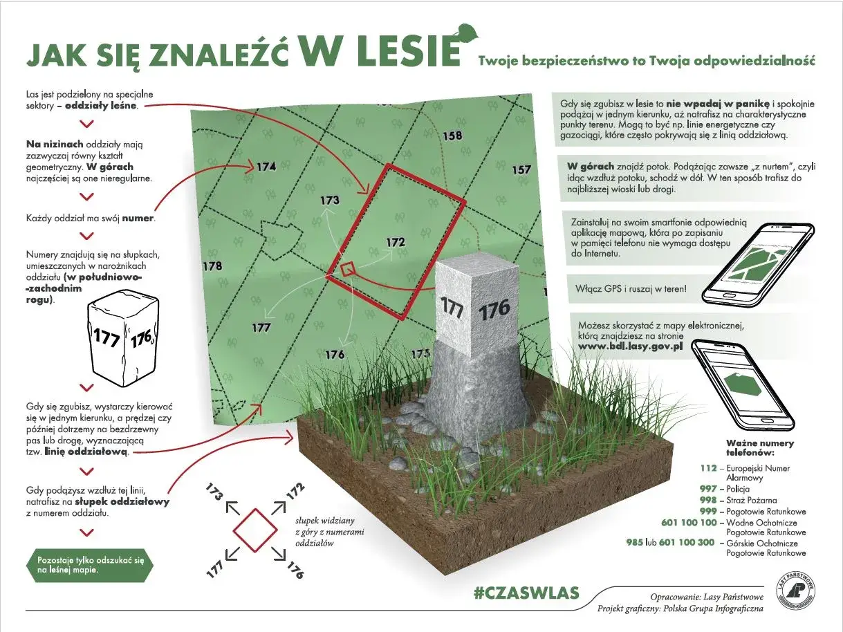 Mapa leśna z zaznaczonymi oddziałami i słupkami granicznymi. Wskazówki, jak odnaleźć się w lesie, korzystając z numeracji oddziałów i kierunków świata.